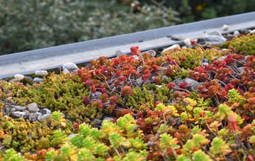 the cost of Etteridge green roof installation