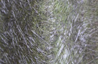 Etteridge fibreglass roof work